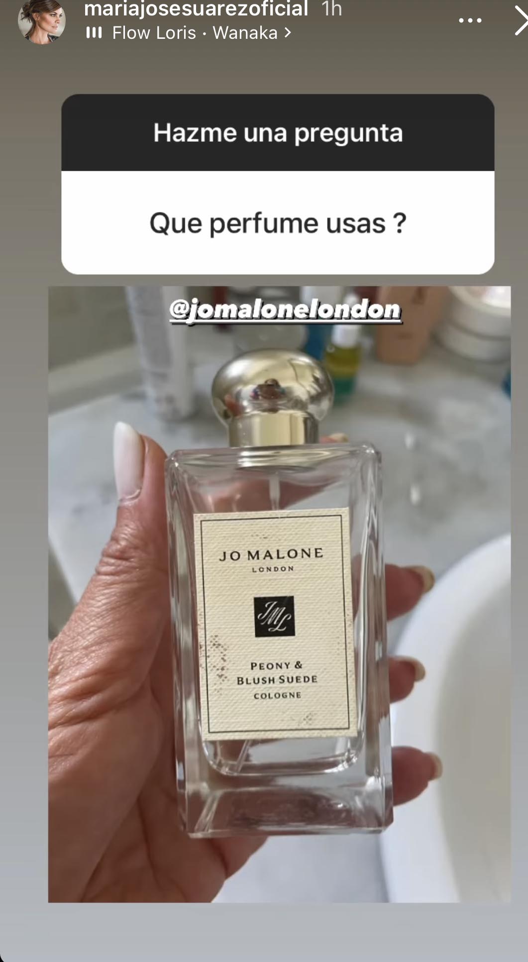 María José Suárez perfume