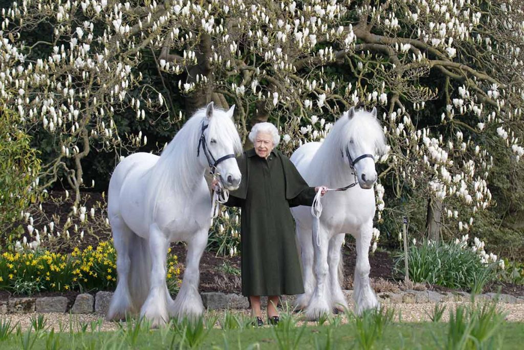 Reina-Isabel-II-caballos